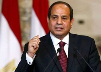 Sisi directs swift coordination for receiving newborn babies from Gaza