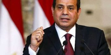 Sisi directs swift coordination for receiving newborn babies from Gaza