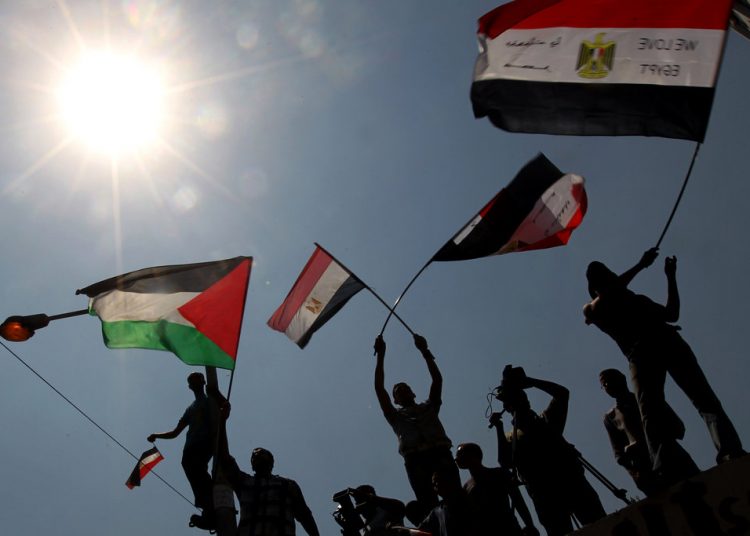 Egypt marks International Day of Solidarity with Palestinian People 1 - Egyptian Gazette