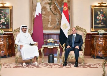 Egypt, Qatar reject attempts to “liquidate” Palestinian cause