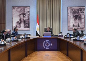 PM: We may increase factories in Port Said by adding 100 feddans belonging to IDA