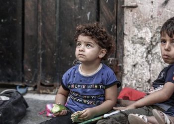 Food shortages affecting every single person in Gaza – WFP official