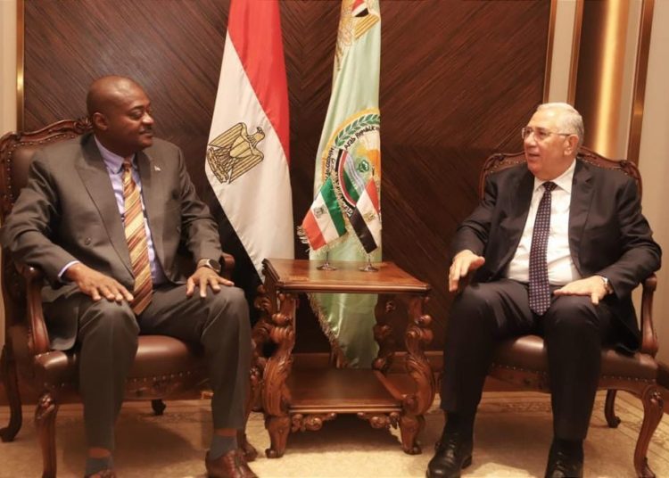 Egypt, Equatorial Guniea discuss boosting joint cooperation 2 - Egyptian Gazette Egypt, Equatorial Guniea discuss boosting joint cooperation 1 - Egyptian Gazette