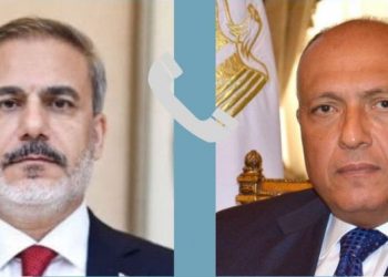 Egyptian, Turkish FMs press for action to end tragic situation in Gaza ASAP