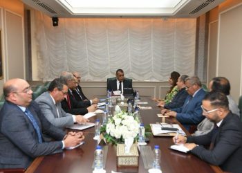 Military production minister discusses co-operation with Papyrus Egypt company
