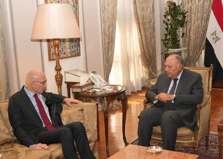 FM, UNHCR chief discuss situation in Gaza 1 - Egyptian Gazette