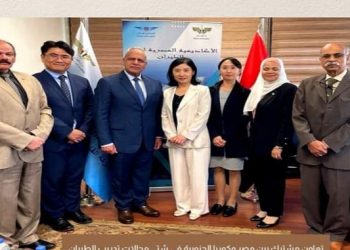 Egypt, South Korea discuss aviation training co-operation