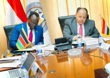 Maait: All support to our brothers in S. Sudan to attain development goals
