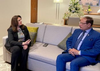 Minister Gendi: New republic gave Egyptian expats right to select leadership