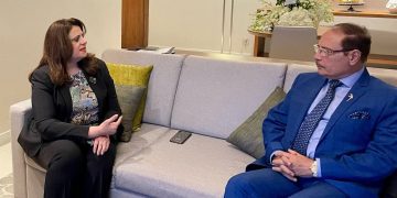 Minister Gendi: New republic gave Egyptian expats right to select leadership