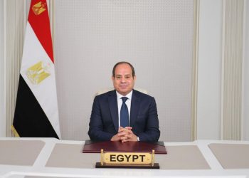 Sisi calls for developing global system, int’l economic, financial structure