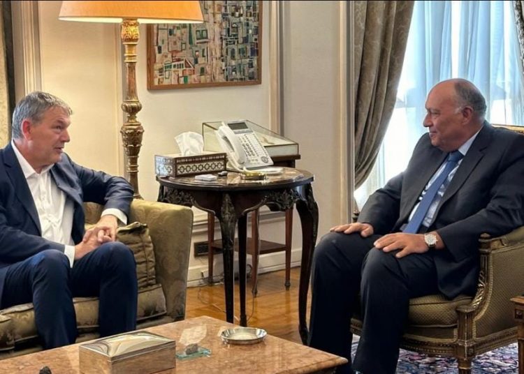 Egypt FM denounces Israeli targeting of civilians in Gaza 1 - Egyptian Gazette