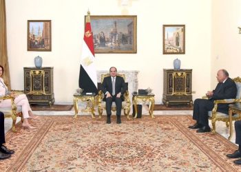 Sisi asserts importance of serious action by Int’l community to settle Palestinian issue