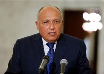 Shoukry says all efforts should be centered on ending current conflict in Gaza