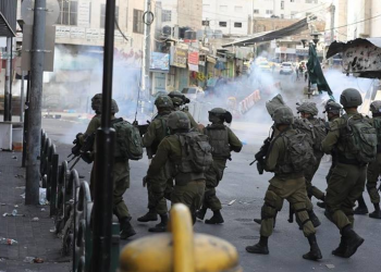Over 50 Palestinians detained by Israeli occupation force in West Bank