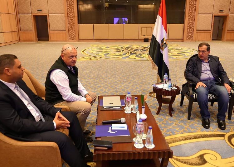 Petroleum Ministry: New lab for examining gold opens in Eastern Desert 1 - Egyptian Gazette