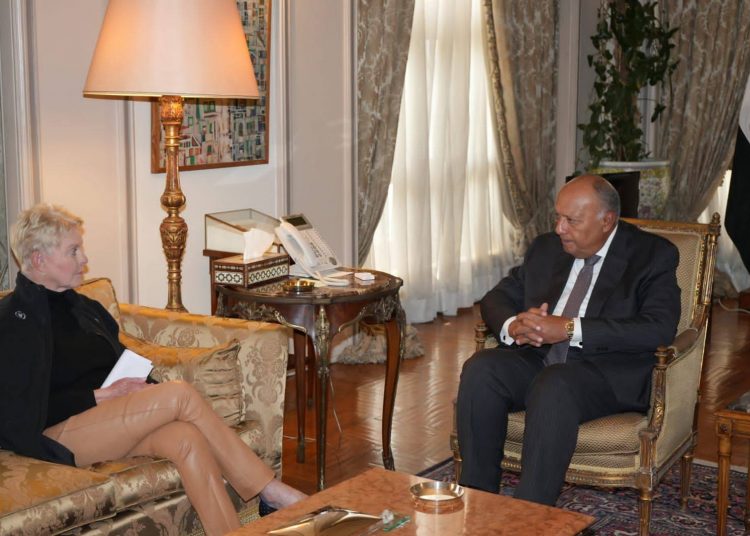 FM says meeting needs of Gazans top priority of Egypt 1 - Egyptian Gazette