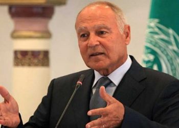 Abul Gheit welcomes success of Egyptian-Qatari mediation to reach truce in Gaza