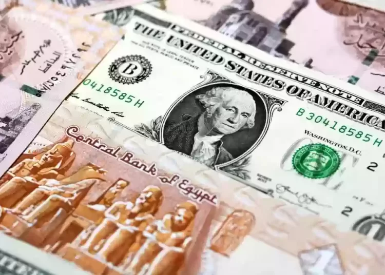Dollar rates stable at start of Wednesday's transactions 1 - Egyptian Gazette