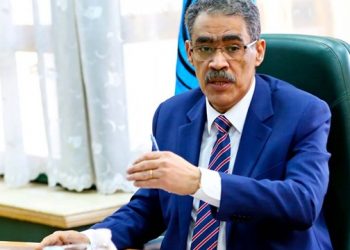 SIS Chief cites media appreciation of Egypt’s efforts in Gaza crisis