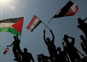 Palestinian minister appreciates Egypt effort to end conflict in Gaza