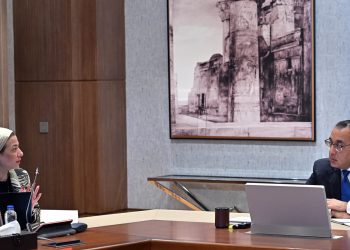 PM reviews preparations for Egypt participation in COP28