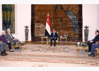 Sisi calls for immediate ceasefire in Gaza to protect civilians