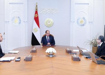 Sisi directs gov’t to provide electricity for Egypt Future agricultural project 6 - Egyptian Gazette