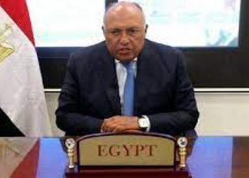 FM directs diplomatic missions to facilitate Egyptian expats participation in presidential elections