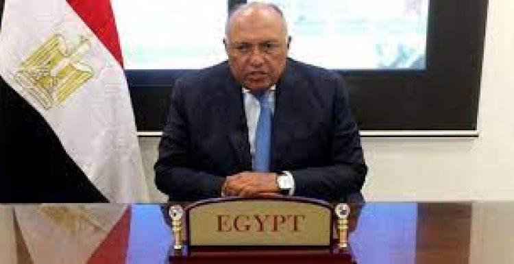 FM directs diplomatic missions to facilitate Egyptian expats participation in presidential elections 1 - Egyptian Gazette