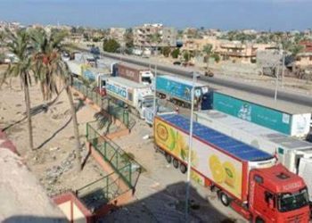 Russia to deliver humanitarian aid to Egypt to be re-sent to Gaza Strip