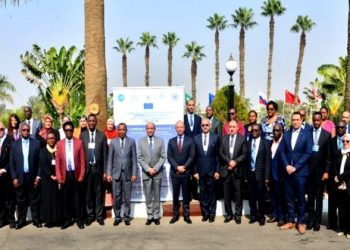 Egypt hosts Comesa workshop on aviation regulations