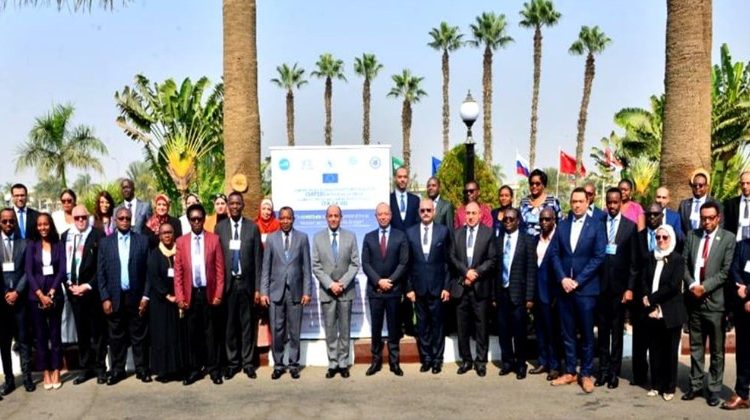 Egypt hosts Comesa workshop on aviation regulations 1 - Egyptian Gazette