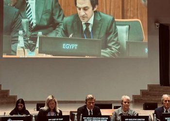 Rady showcases Cairo’s efforts in treating injured Palestinians