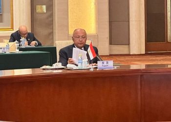 Shoukry: It is unfortunate to see some major countries giving a cover to current Israeli attacks