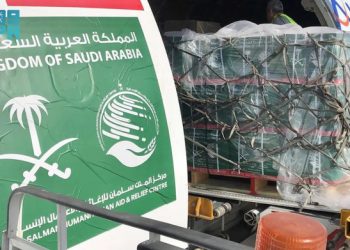 22nd Saudi relief plane heads for Arish to deliver aid to Gaza