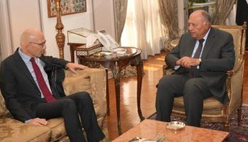 Shoukry stresses Egypt’s commitment to continue defending Palestinians’ rights