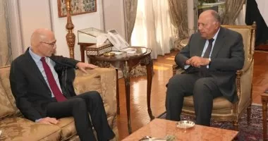 Shoukry stresses Egypt's commitment to continue defending Palestinians' rights 2 - Egyptian Gazette Shoukry stresses Egypt's commitment to continue defending Palestinians' rights 1 - Egyptian Gazette