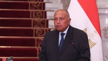 Shoukry: Ceasefire to be reached by int’l pressure on Israel