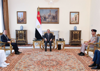 Sisi discusses Gaza, regional issues with French Armed Forces minister