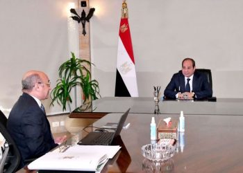 Sisi reviews efforts to develop judicial system