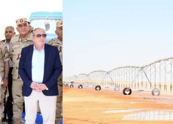 Breathing new life into Toshka