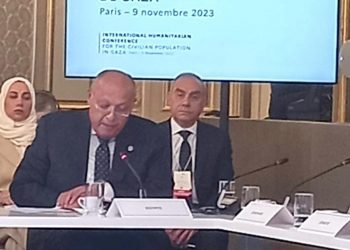 Shoukry: Displacement of civilians in Gaza to south not positive development