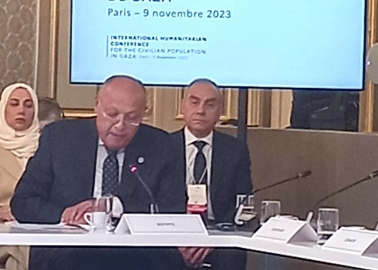 Shoukry: Displacement of civilians in Gaza to south not positive development 1 - Egyptian Gazette