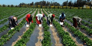 Fertile ground for ‘model’ farms