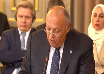 Shoukry: Israeli violations against Palestinians amount to war crimes