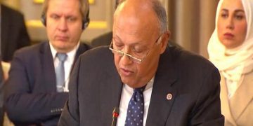 Shoukry: Israeli violations against Palestinians amount to war crimes