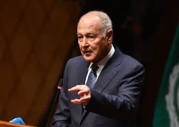 Abul Gheit participates with six FMs in key session with British media
