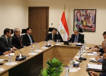 Egypt, Japan discuss bolstering co-operation in renewable energy, green hydrogen projects
