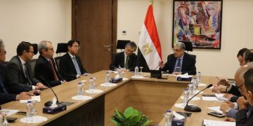 Egypt, Japan discuss bolstering co-operation in renewable energy, green hydrogen projects